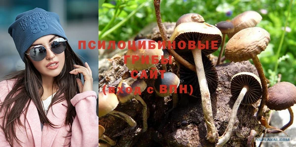 мдпв Снежинск