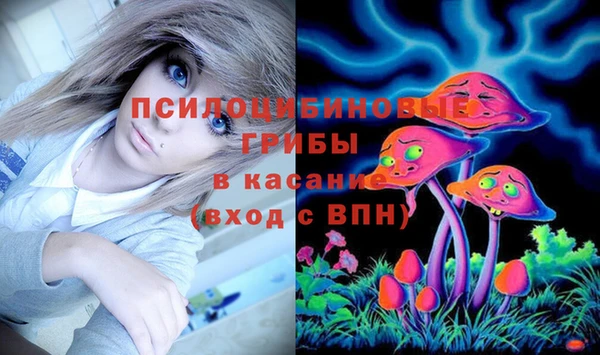 мдпв Снежинск