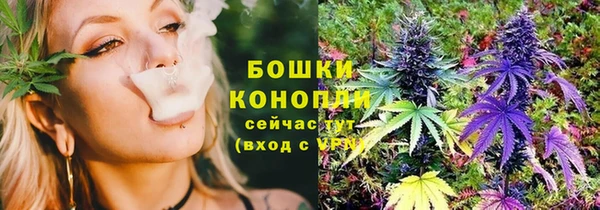 мдпв Снежинск