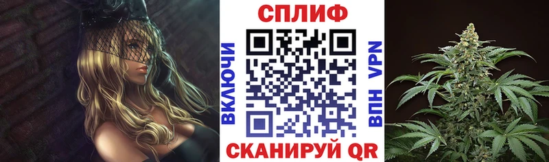 Марихуана сатива Голицыно